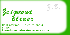 zsigmond bleuer business card